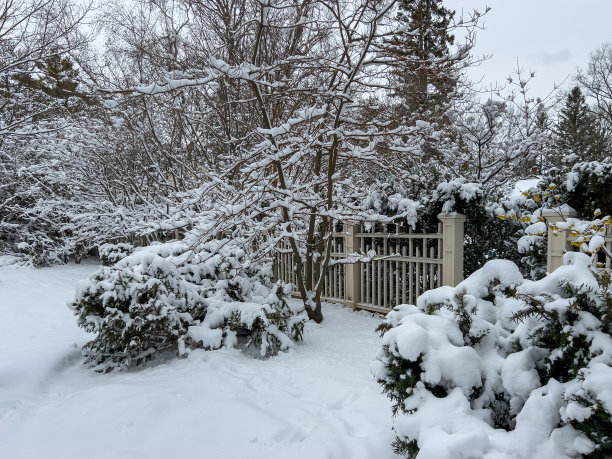 雪中庭院湖景