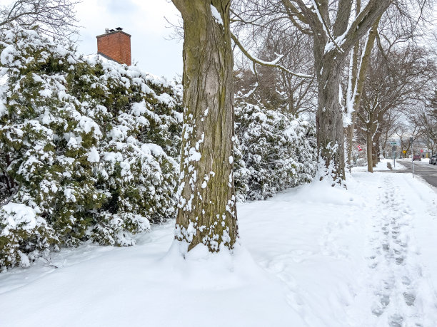 雪中庭院湖景