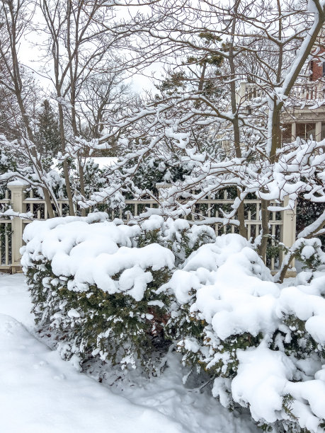 雪中庭院湖景