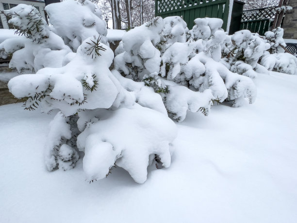 雪中庭院湖景