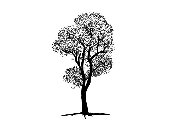 木林logo