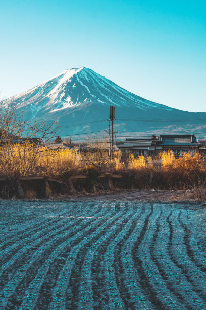 本州屋