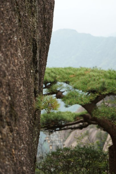 黄山中国风山水意境