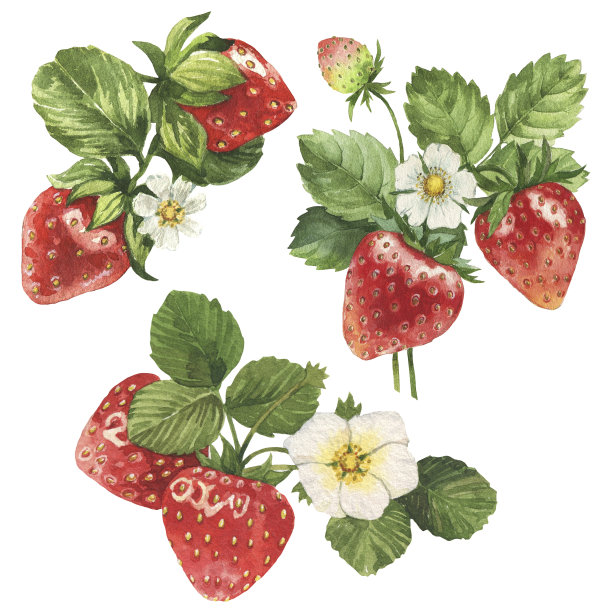 草莓花朵装饰花环