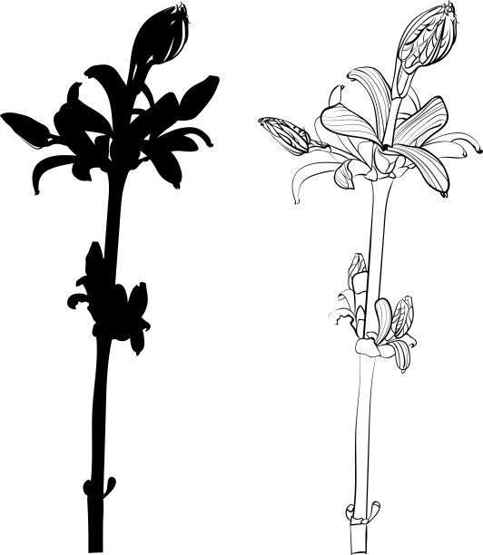 森林物植物花卉花环插画
