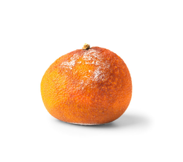 丑橘高清图片