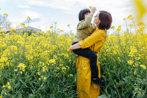 开心一家人 花田 油菜花