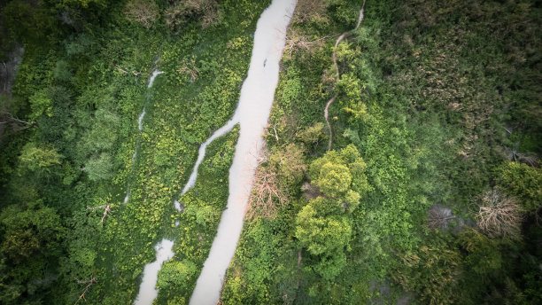 高山密林山水人物画