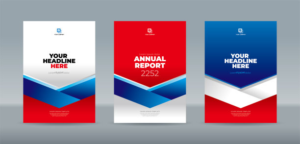 简洁蓝色公司年度报告封面