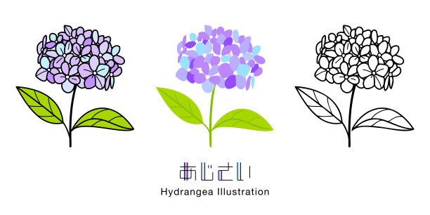 紫色花朵线条装饰插图