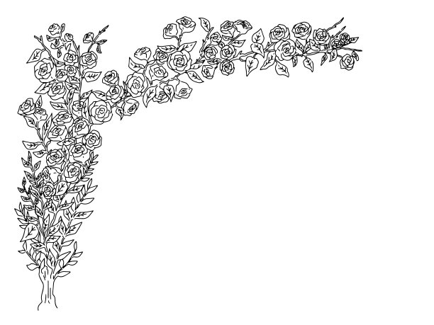 黑白简约线条植物绘画