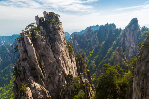 华山松林,山峰,绝壁