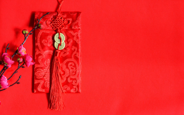 精美节日红灯笼设计矢量素材