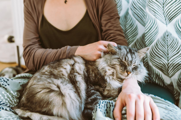 女孩抱着猫咪睡觉