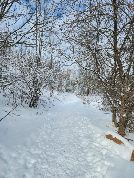 圣诞老人滑雪