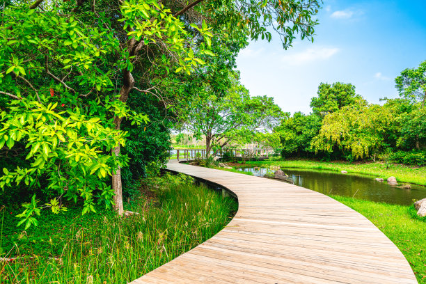 公园湿地游园景观木桥