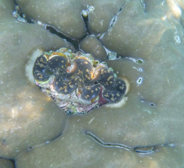 海底世界水族馆海洋馆海洋生物