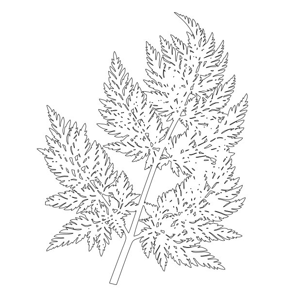 植物园logo设计