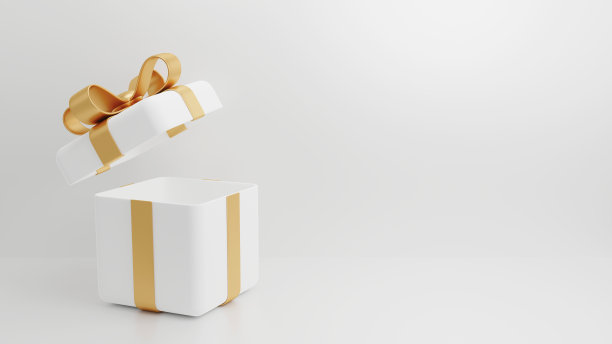 高档精美包装礼盒3d模型效果图