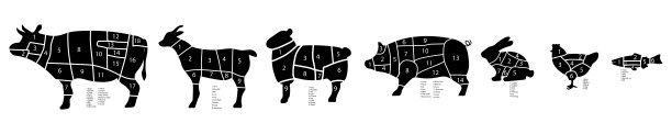 黑猪肉海报