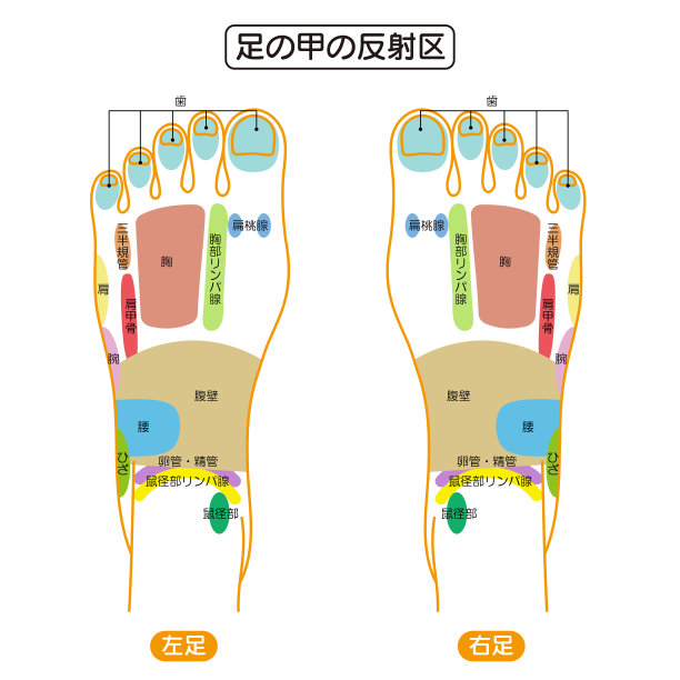 矢量洗脚