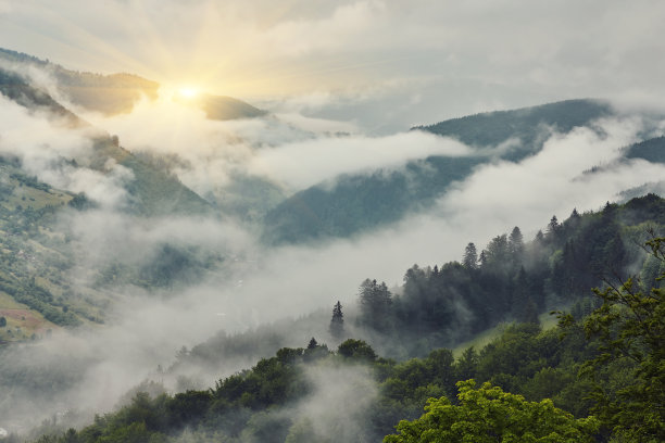 风景素材薄雾远山草地树林