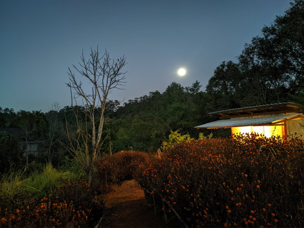 山区农村建筑