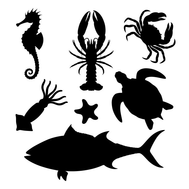创意龙虾插画设计