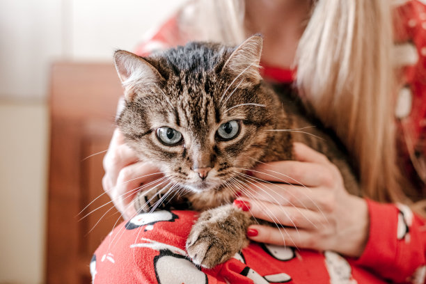 女孩抱着猫咪睡觉