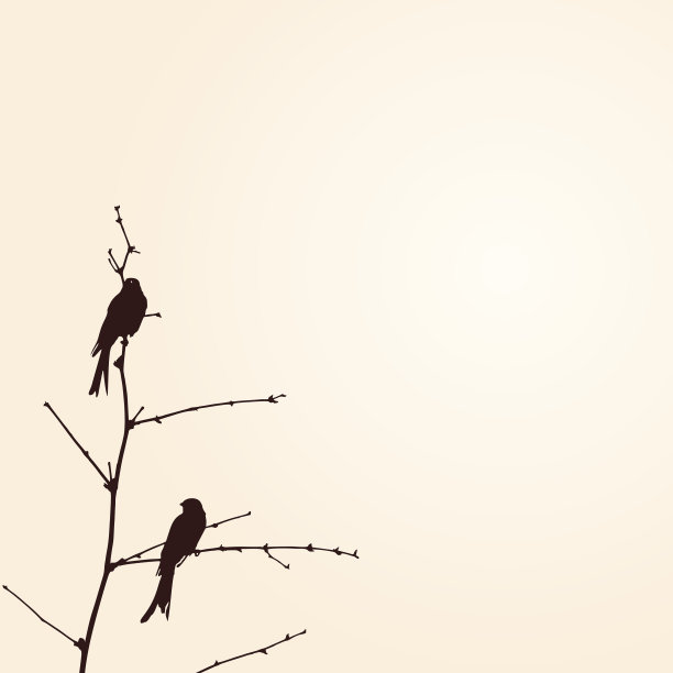 鸟类,浪漫,枝