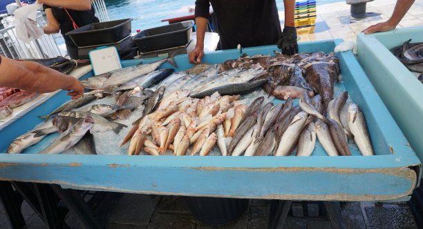 诱人的海鲜美食