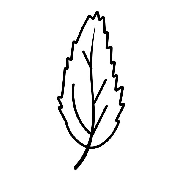 葡萄树logo