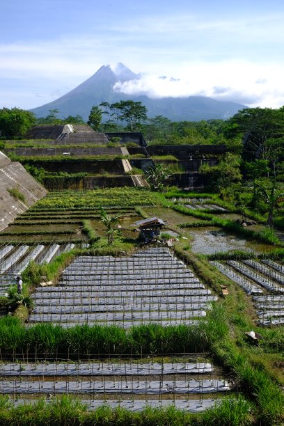 山区农村建筑