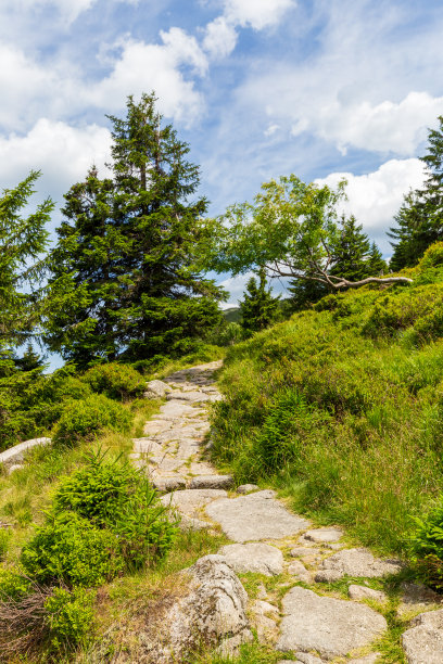 山林登山道