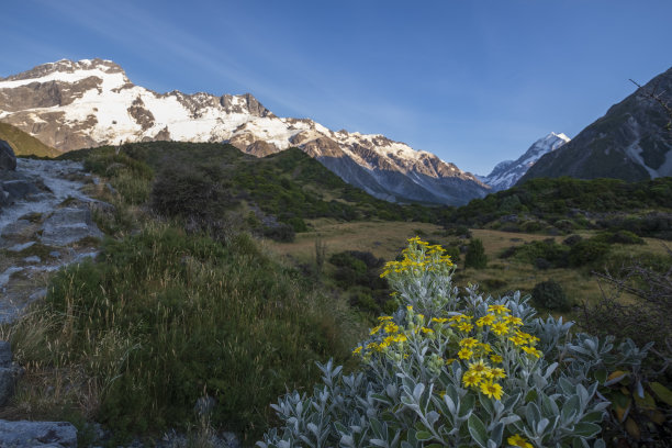 山林登山道