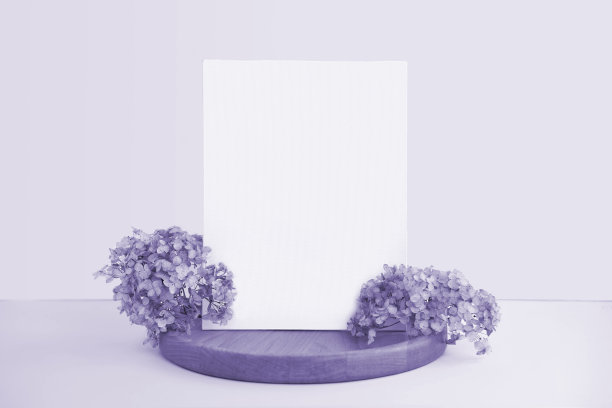紫色简约婚礼图片