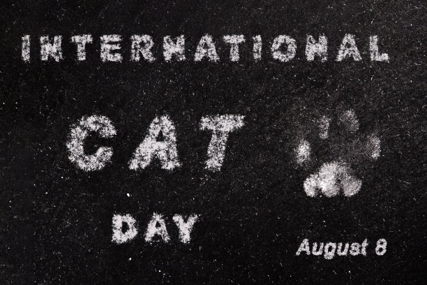 国际猫咪日