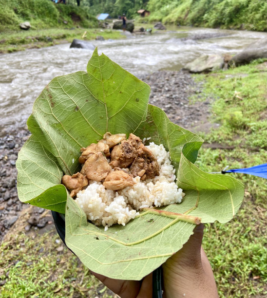 简洁大米包装