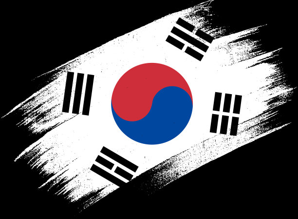 韩国现代涂料