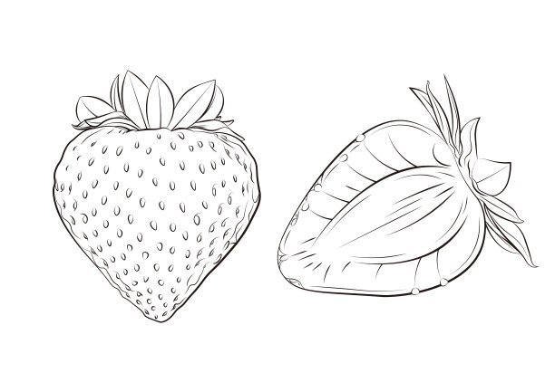 悬钩子属植物,浆果,草莓