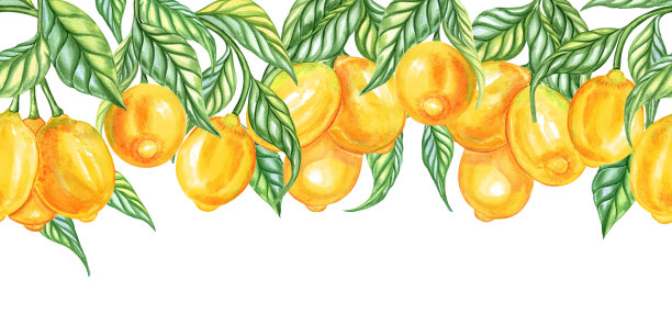柠檬图案柠檬花纹边框夏天背景