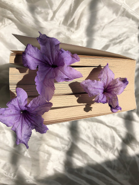 紫花团 书本封面