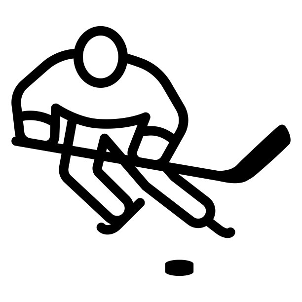 滑冰杖