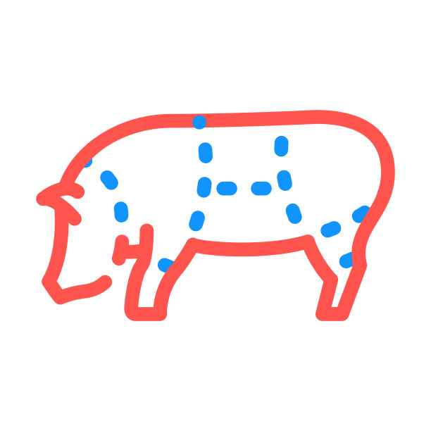 猪肉脯插画