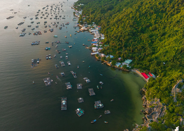 东南沿海剪影