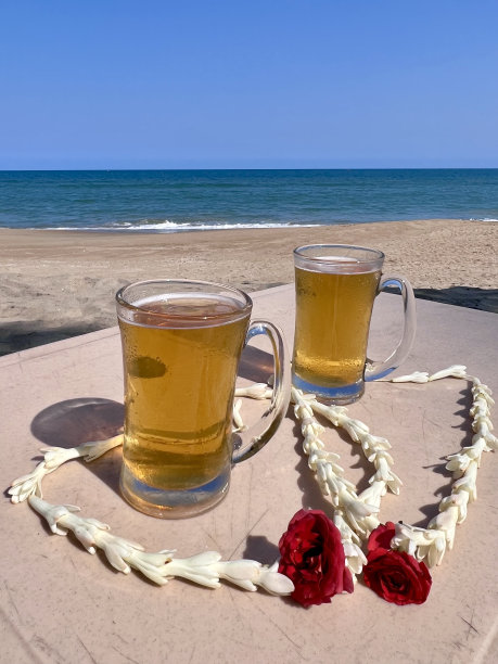 啤酒,拉格啤酒,海滩