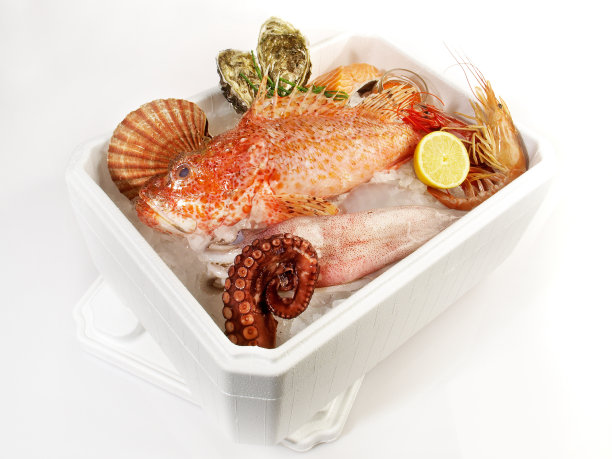 牡蛎包装盒