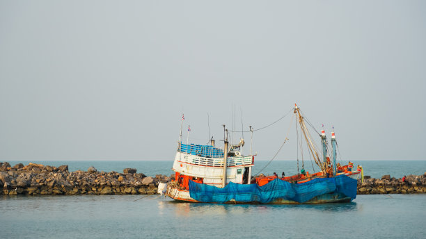 海景海鸥海洋游艇渔船渔业捕鱼