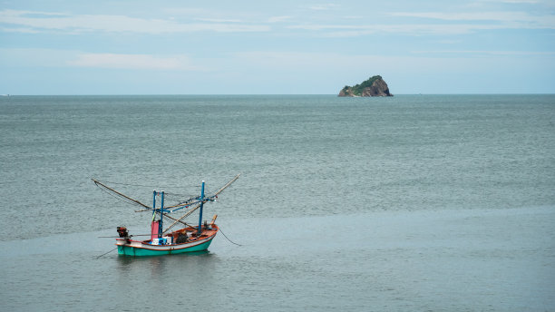 海景海鸥海洋游艇渔船渔业捕鱼