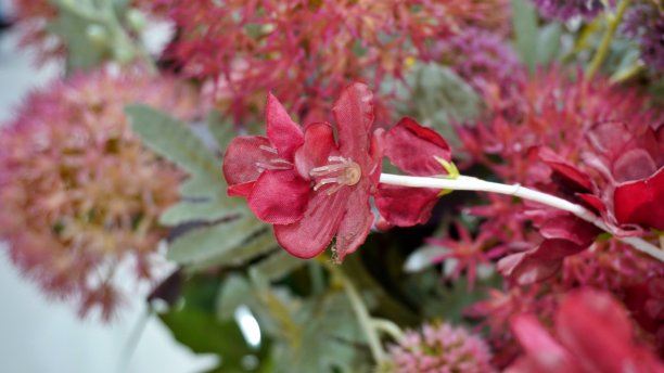 花圃花园背景墙